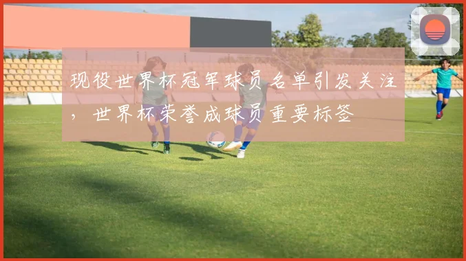 现役世界杯冠军球员名单引发关注，世界杯荣誉成球员重要标签