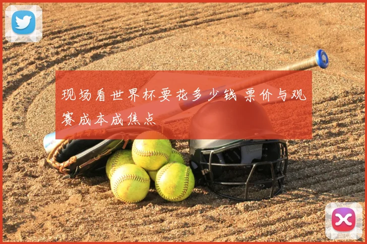 现场看世界杯要花多少钱 票价与观赛成本成焦点
