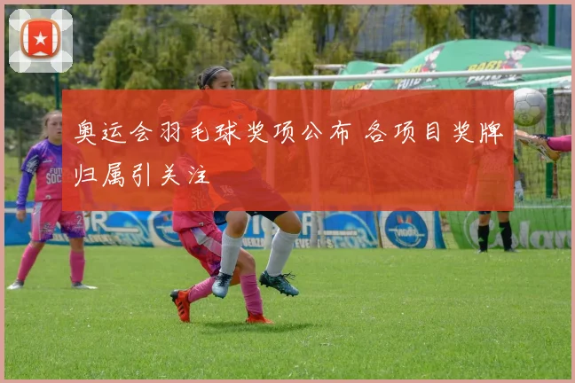奥运会羽毛球奖项公布 各项目奖牌归属引关注