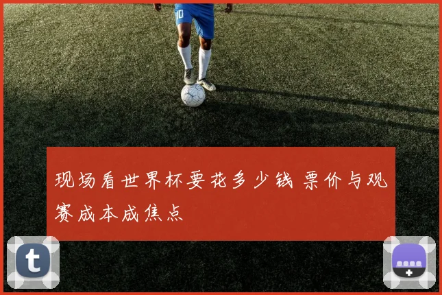 现场看世界杯要花多少钱 票价与观赛成本成焦点