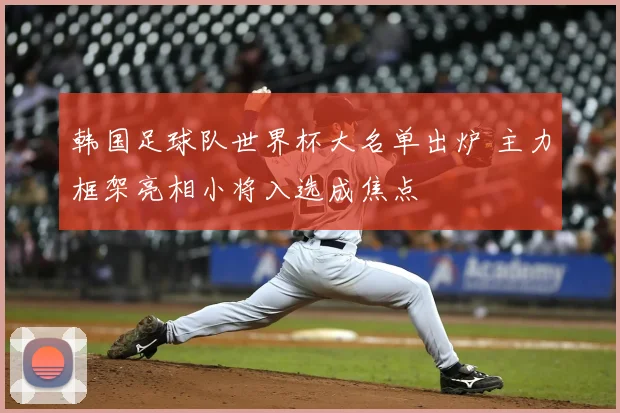 韩国足球队世界杯大名单出炉 主力框架亮相小将入选成焦点